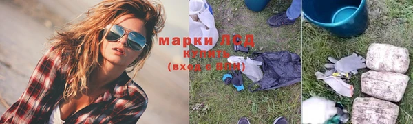 спиды Аркадак